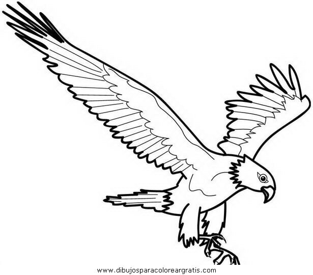 Dibujo aguila_aguile_10 en la categoria animales diseños