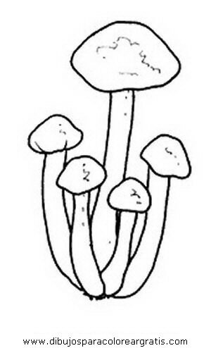 naturaleza/otono/hongo_hongos_32.JPG
