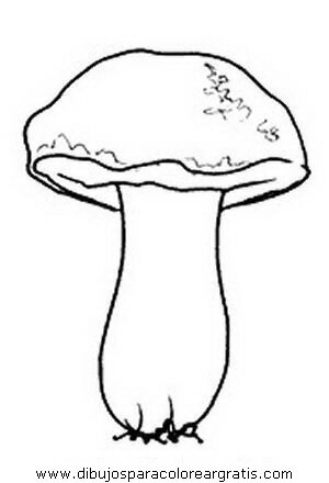 naturaleza/otono/hongo_hongos_35.JPG