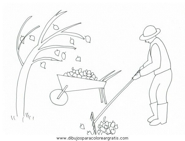naturaleza/otono/otono_006.JPG