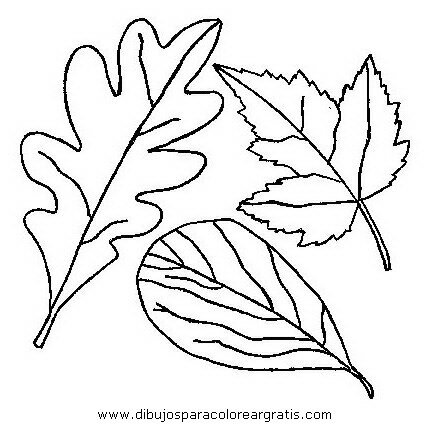 naturaleza/otono/otono_069.JPG