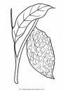 alimentos/fruta/cacao_2.JPG