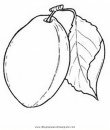 alimentos/fruta/ciruela.JPG