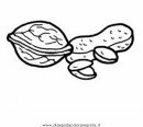 alimentos/fruta/nuez_1.JPG