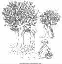 alimentos/verdura/aceitunas_2.JPG
