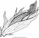 alimentos/verdura/elote_0.JPG