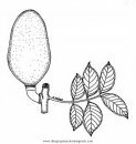 alimentos/verdura/guanabana_1.JPG