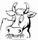 animales/animales_granja/animales_granja17.JPG