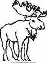 animales/animales_varios/animales_varios_000.JPG