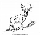 animales/animales_varios/animales_varios_002.JPG