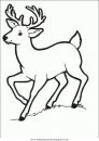 animales/animales_varios/animales_varios_003.JPG
