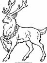 animales/animales_varios/animales_varios_004.JPG