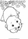 animales/animales_varios/animales_varios_007.JPG