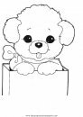 animales/animales_varios/animales_varios_008.JPG