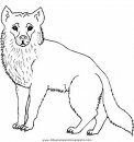 animales/animales_varios/animales_varios_009.JPG