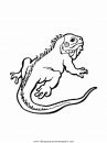 animales/animales_varios/animales_varios_013.JPG
