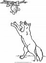 animales/animales_varios/animales_varios_023.JPG