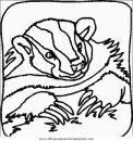 animales/animales_varios/animales_varios_025.JPG