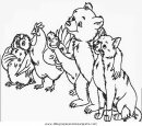 animales/animales_varios/animales_varios_028.JPG