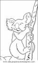 animales/animales_varios/animales_varios_042.JPG
