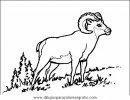 animales/animales_varios/animales_varios_052.JPG