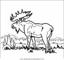 animales/animales_varios/animales_varios_061.JPG