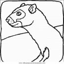 animales/animales_varios/animales_varios_062.JPG