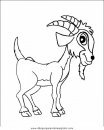 animales/animales_varios/animales_varios_066.JPG