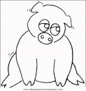 animales/animales_varios/animales_varios_067.JPG