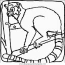 animales/animales_varios/animales_varios_070.JPG