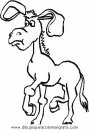 animales/animales_varios/animales_varios_086.JPG