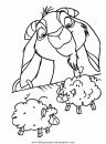 animales/animales_varios/animales_varios_090.JPG
