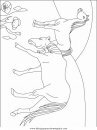 animales/animales_varios/animales_varios_096.JPG