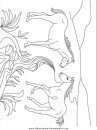 animales/animales_varios/animales_varios_097.JPG