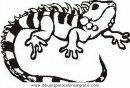 animales/animales_varios/animales_varios_098.JPG