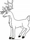 animales/animales_varios/animales_varios_099.JPG
