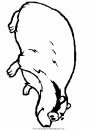 animales/animales_varios/animales_varios_103.JPG