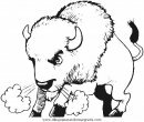 animales/animales_varios/animales_varios_104.JPG