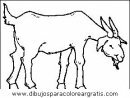 animales/animales_varios/animales_varios_108.JPG