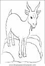 animales/animales_varios/animales_varios_110.JPG