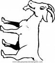 animales/animales_varios/animales_varios_111.JPG