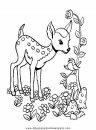 animales/animales_varios/animales_varios_112.JPG