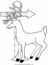 animales/animales_varios/animales_varios_113.JPG