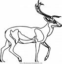 animales/animales_varios/animales_varios_114.JPG