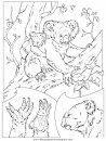 animales/animales_varios/animales_varios_125.JPG