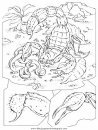 animales/animales_varios/animales_varios_133.JPG