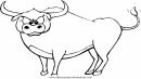 animales/animales_varios/animales_varios_137.JPG