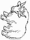 animales/animales_varios/animales_varios_138.JPG