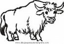 animales/animales_varios/animales_varios_139.JPG