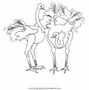 animales/animales_varios/avestruz_1.JPG
